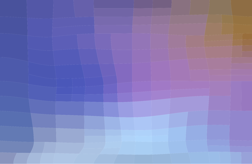 L'organisation et les élus Nationaux